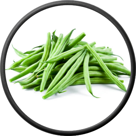 Fresh Green Beans
